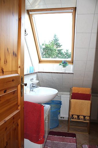 Das Bad der Ferienwohnung: Dusche, Waschbecken mit Spiegel und Beleuchtung, WC
